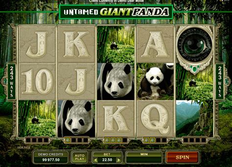 giant panda casino Die besten Online Casinos 2023